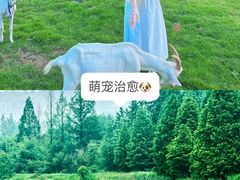 -桔子文创·企业团建·活动策划·拓展会议