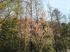 -幕燕滨江·长江观音景区