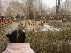 -郑州市动物园