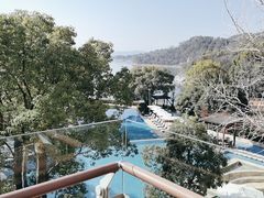 -逸廊大堂吧-下午茶·简餐-千岛湖自由洲际殿