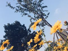 -中油泰富国际酒店-中餐厅