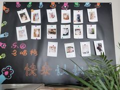 -东方名猫馆·英短金渐层布偶猫舍(环线广场1号楼店)