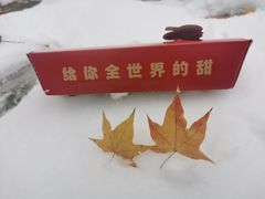 -大兴滨河森林公园