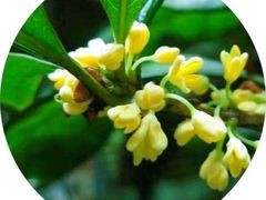 -西西弗书店&矢量咖啡(凯德晶萃广场店)