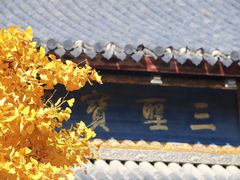 -龙华寺