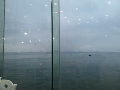 -七鲜渔港美食餐厅(巽寮湾海景店)