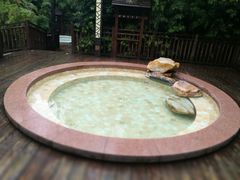 -天目湖涵田半山温泉