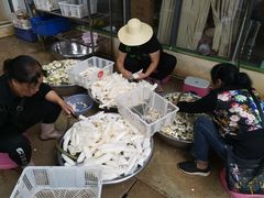 -双喜农庄·菌香园(安居家园店)