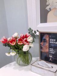 -YESIDO椰岛美容