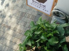 -猫的天空之城概念书店(杭州南宋御街店)