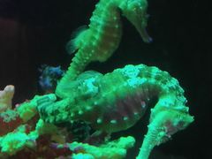 -沈阳海洋探索中心