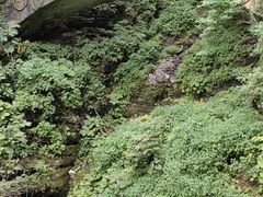 -神农架景区