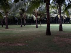 -三亚海棠湾喜来登度假酒店