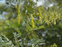 -南京市无想山景区