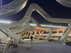 -演武大桥观景平台