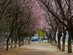 -吉林大学(南岭校区)