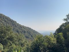 -韬光茶庵