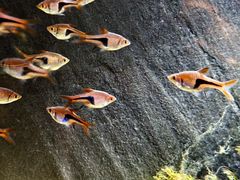 -上海海洋水族馆