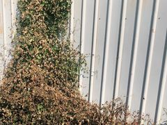 -梁启超故居纪念馆