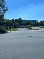 -翱翔飞越地平线