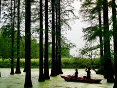 -渌洋湖湿地公园