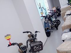 -雅迪电动车(龙井旗舰店)