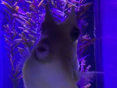 -哈尔滨波塞冬海底世界