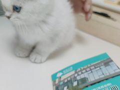 -谐和贝康宠物医院24小时·宠保定点(急重症转诊中心)