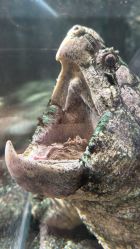 -Zoolung Zoolung动物主题公园(海信广场店)