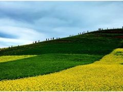 -青海湖国家重点风景名胜区