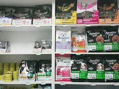 -宠福鑫康馨动物医院·骨科·眼科
