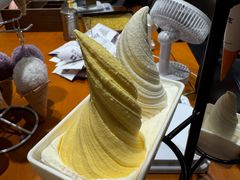 -野人先生现做冰淇淋(北京环宇荟店)