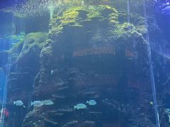 -OPEN開全日自助餐厅·牛肉火锅·海鲜(佛山希尔顿酒店)