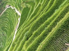 -紫鹊界梯田景区
