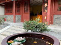 -北京上方山国家森林公园