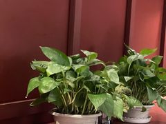 -必胜客(松雷店)