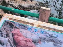 -广东惠东海龟国家级自然保护区