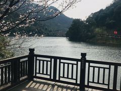 -桃花岭景区
