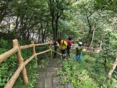 -雾灵西峰