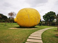 -顺峰山公园
