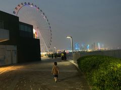 -琴岛之星摩天轮