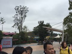 -美的鹭湖探索王国