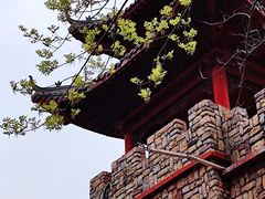 -木兰云雾山