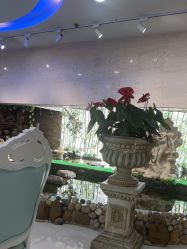 -武汉五洲整形外科医院