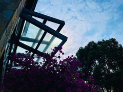 -花溪公园