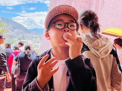 -布达拉宫