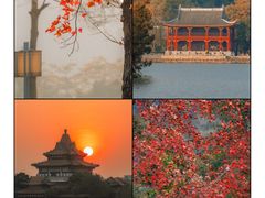 -顺峰山公园