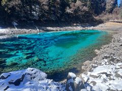 -黄龙山原始森林景区