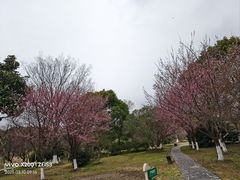 -梁鸿国家湿地公园