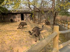 -石家庄市动物园